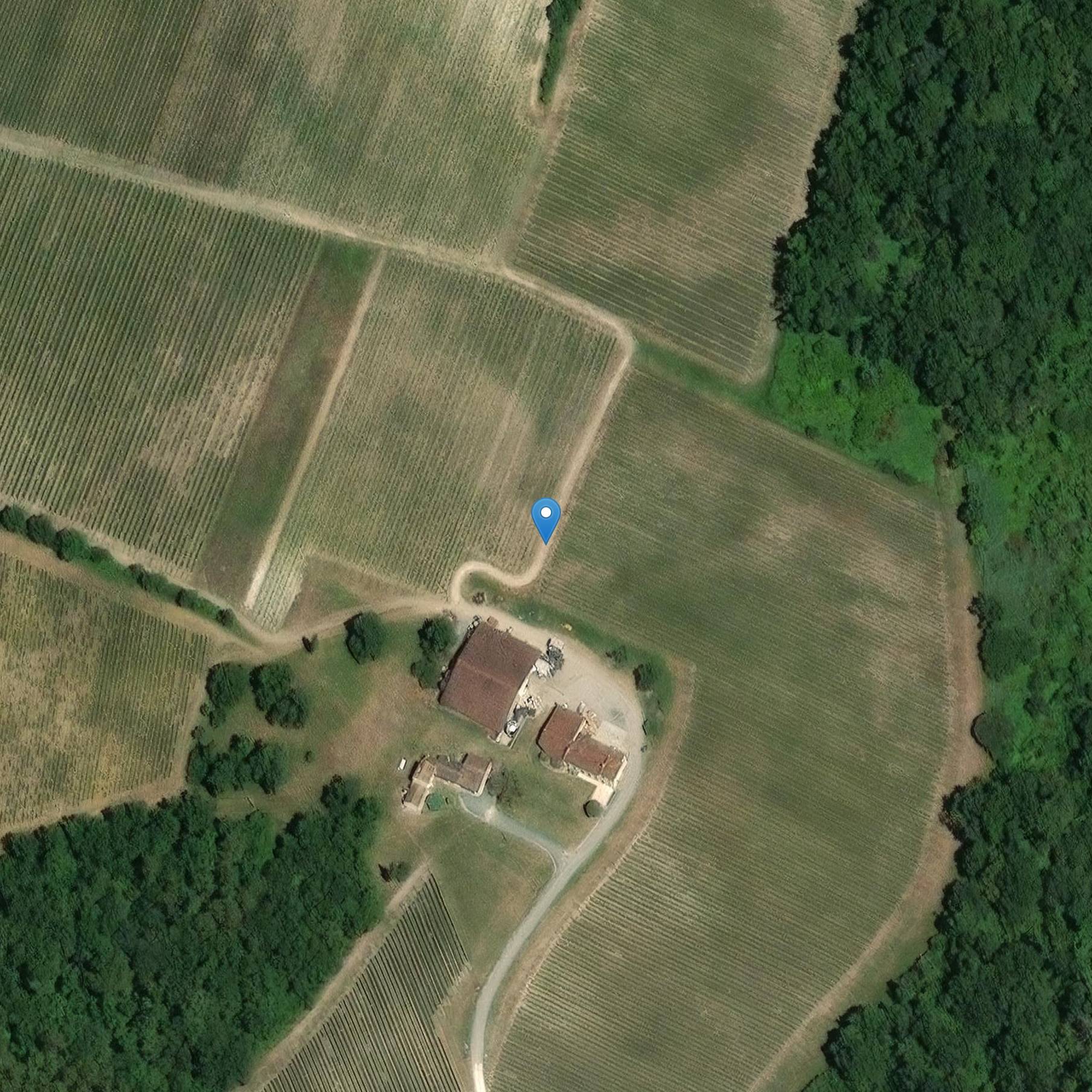 Photo de Château Puy Castera