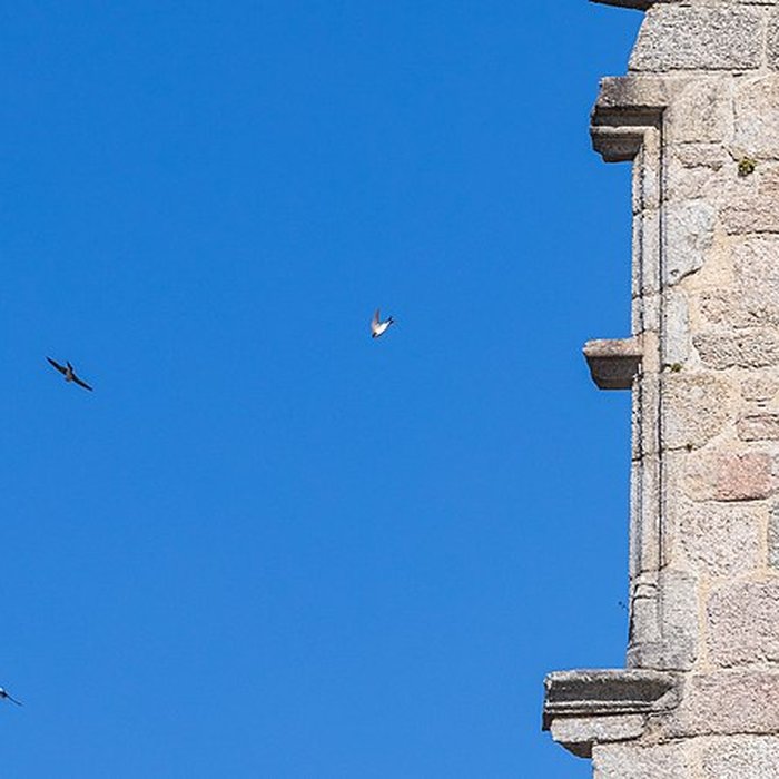 Photo de Château de Ventadour Corrèze