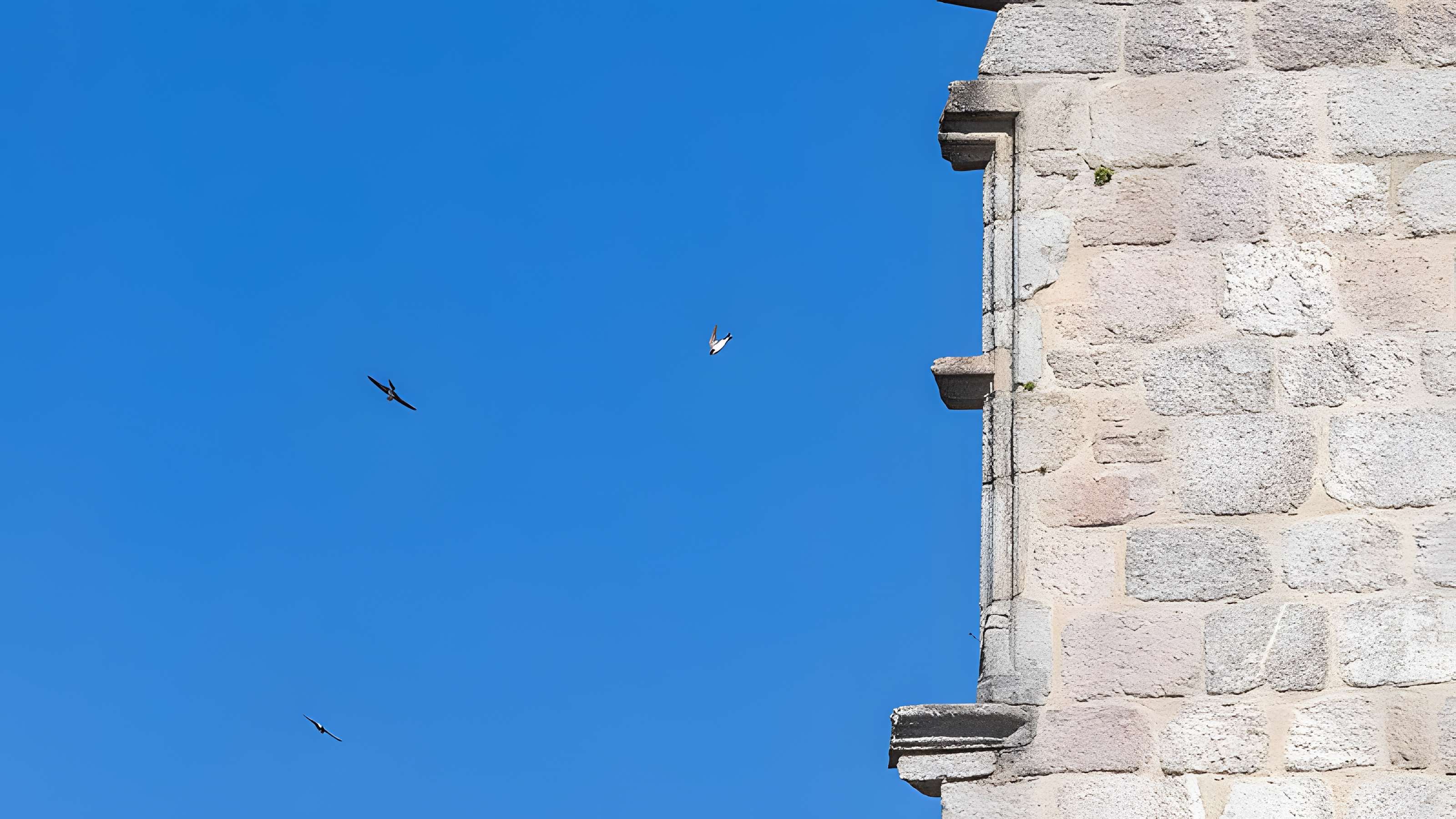 Château de Ventadour (Corrèze)