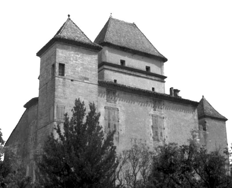 Photo de Château de Ribaute