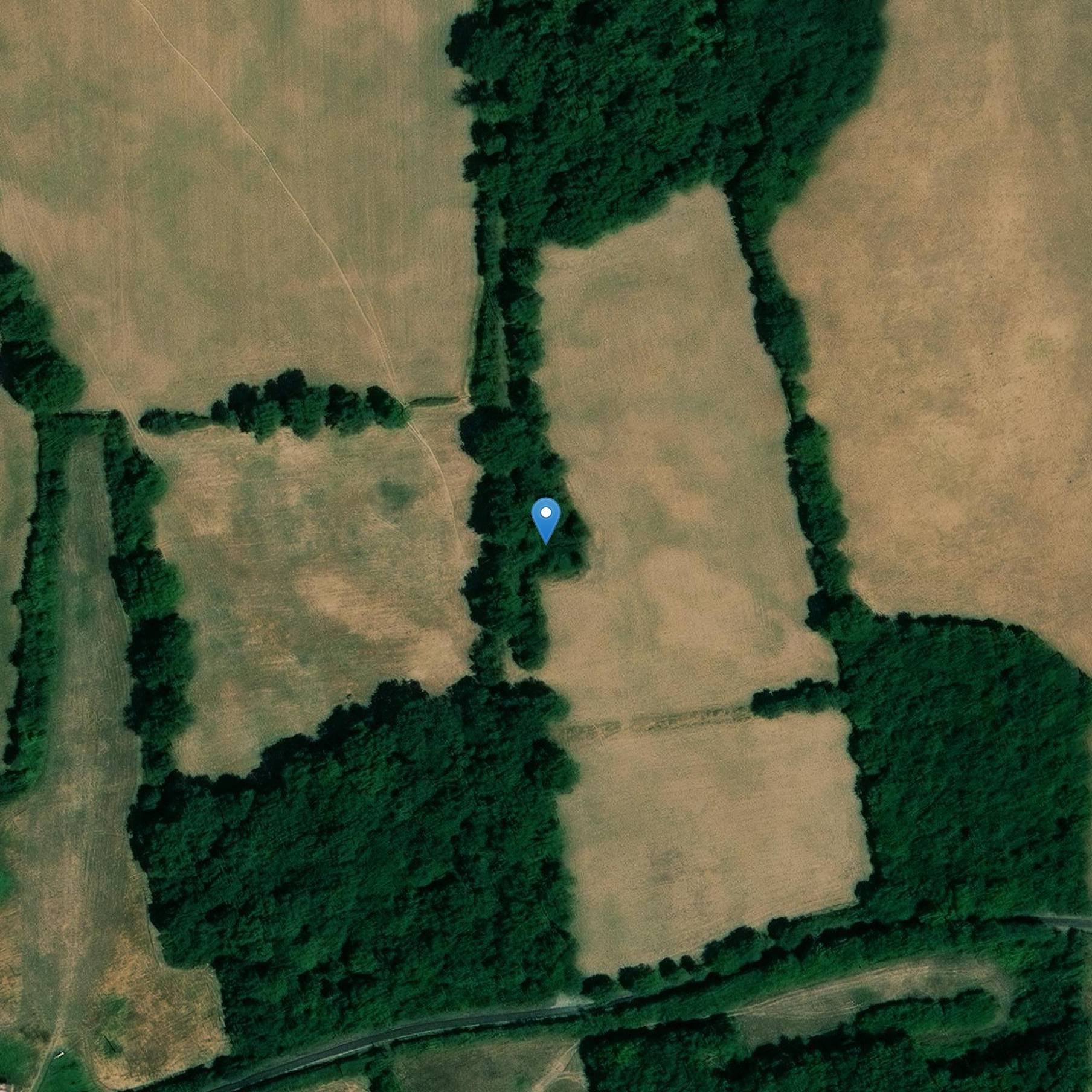 Photo de Château de Pleupinard