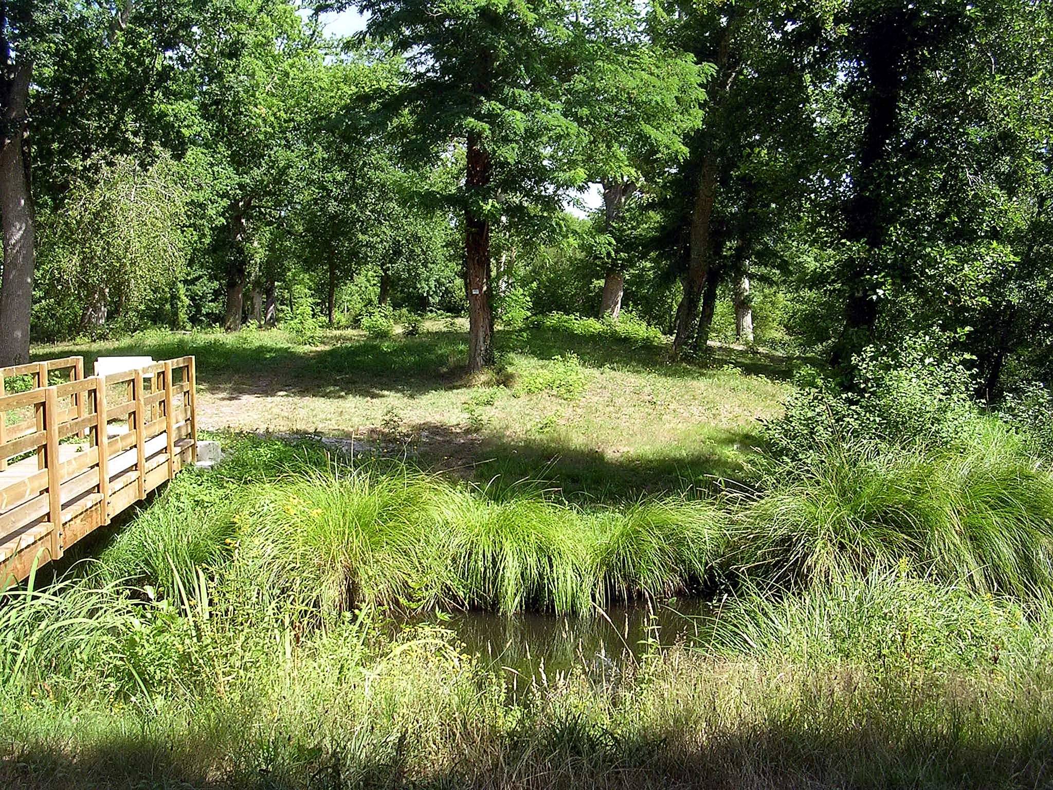 Photo de Tuc de Houns