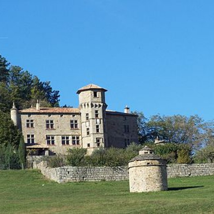 Photo de Château de Versas 
