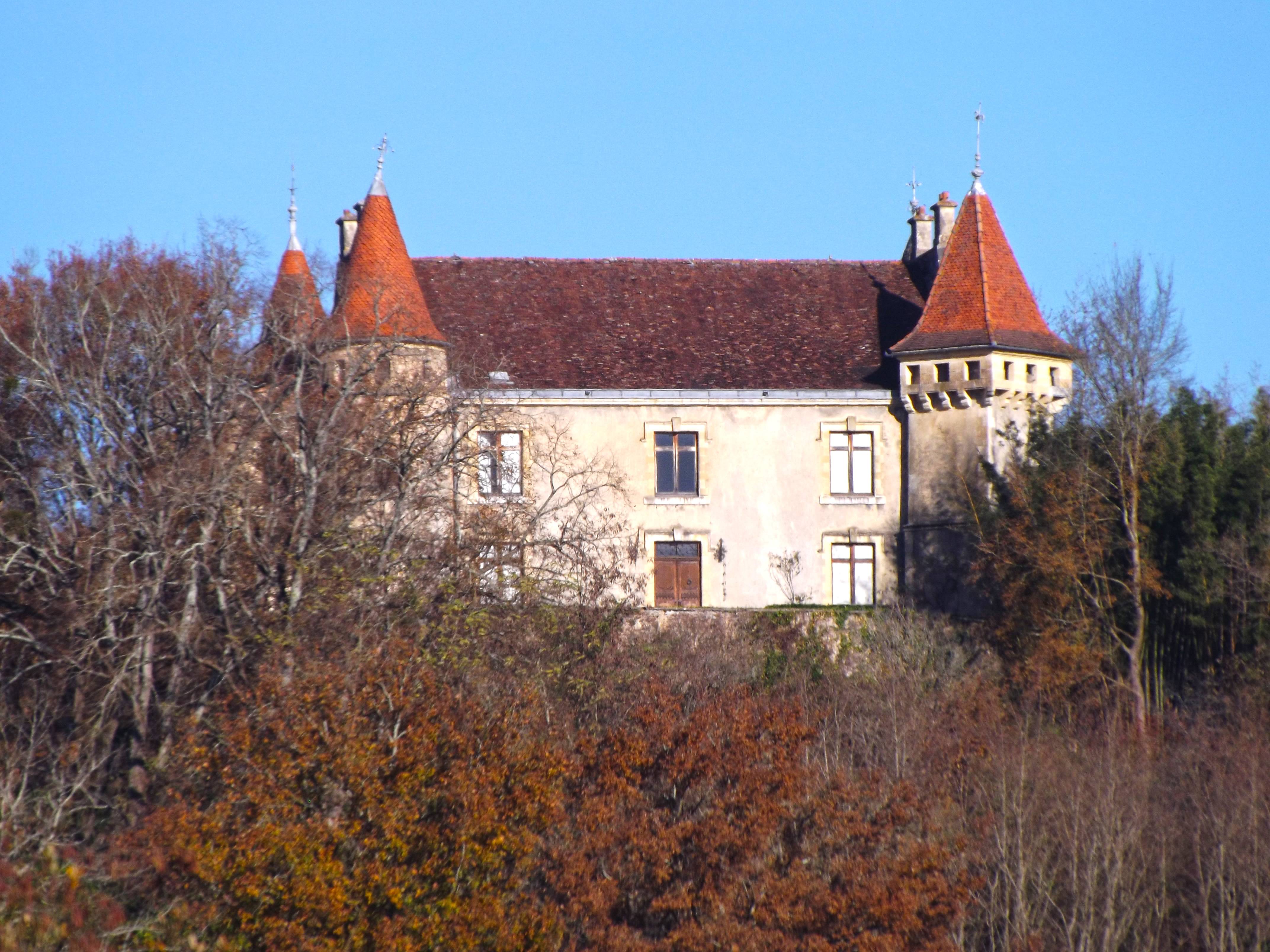 Photo de Château de Momuy