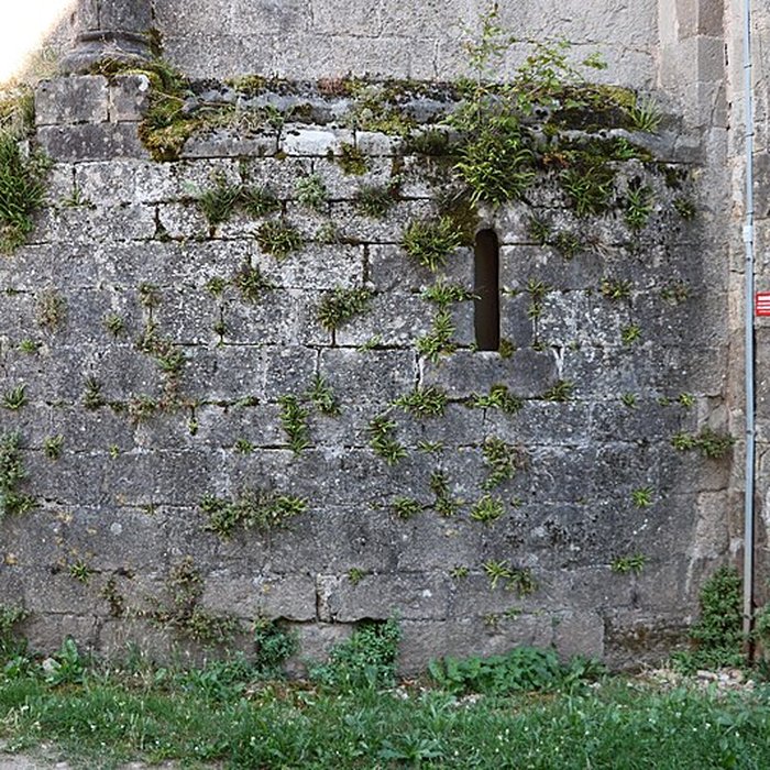 Photo de Église Saint-Vincent de Palmas