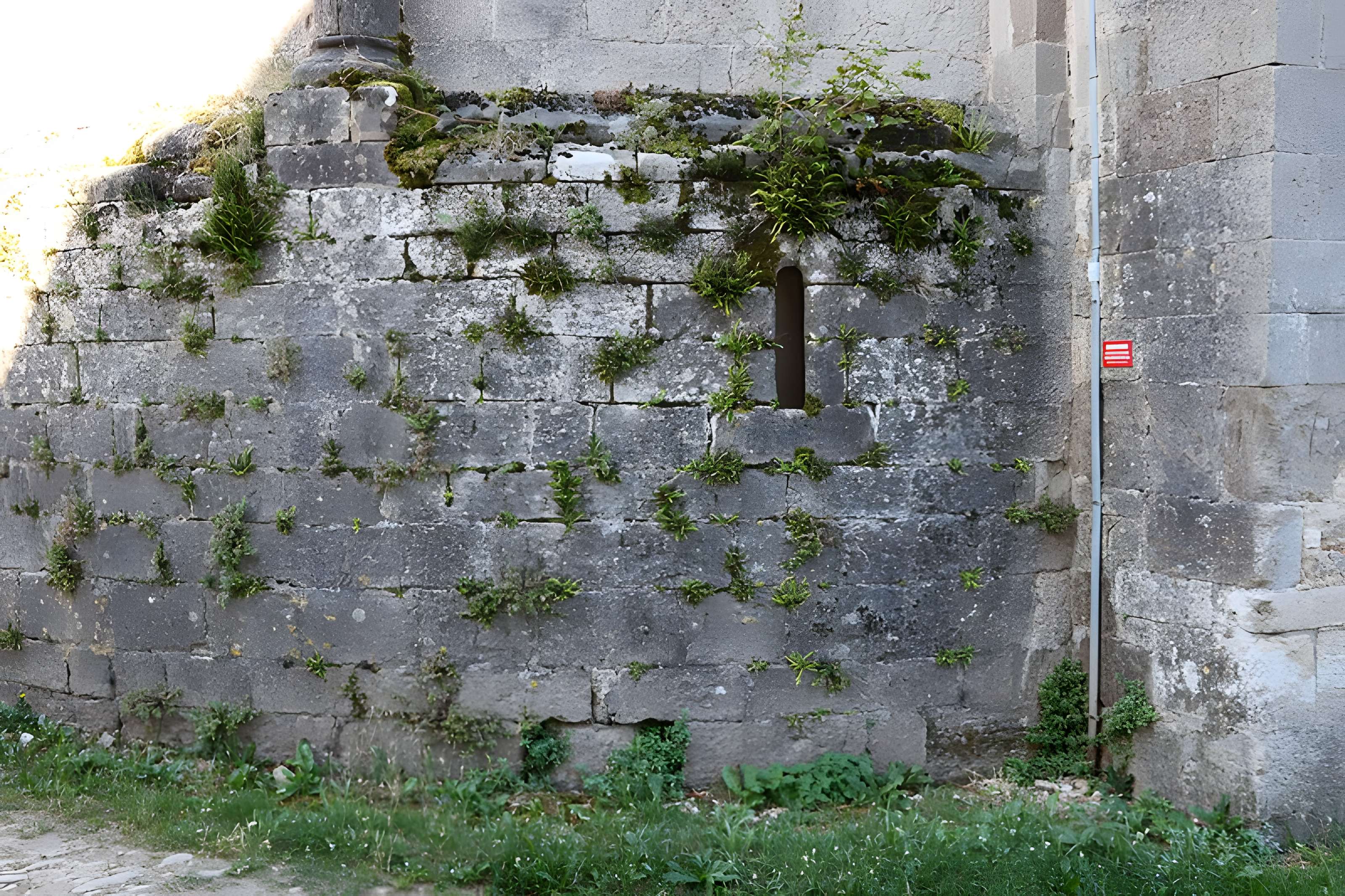 Église Saint-Vincent de Palmas