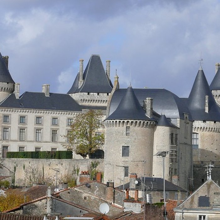 Photo de Château de Verteuil