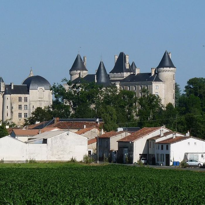 Photo de Château de Verteuil