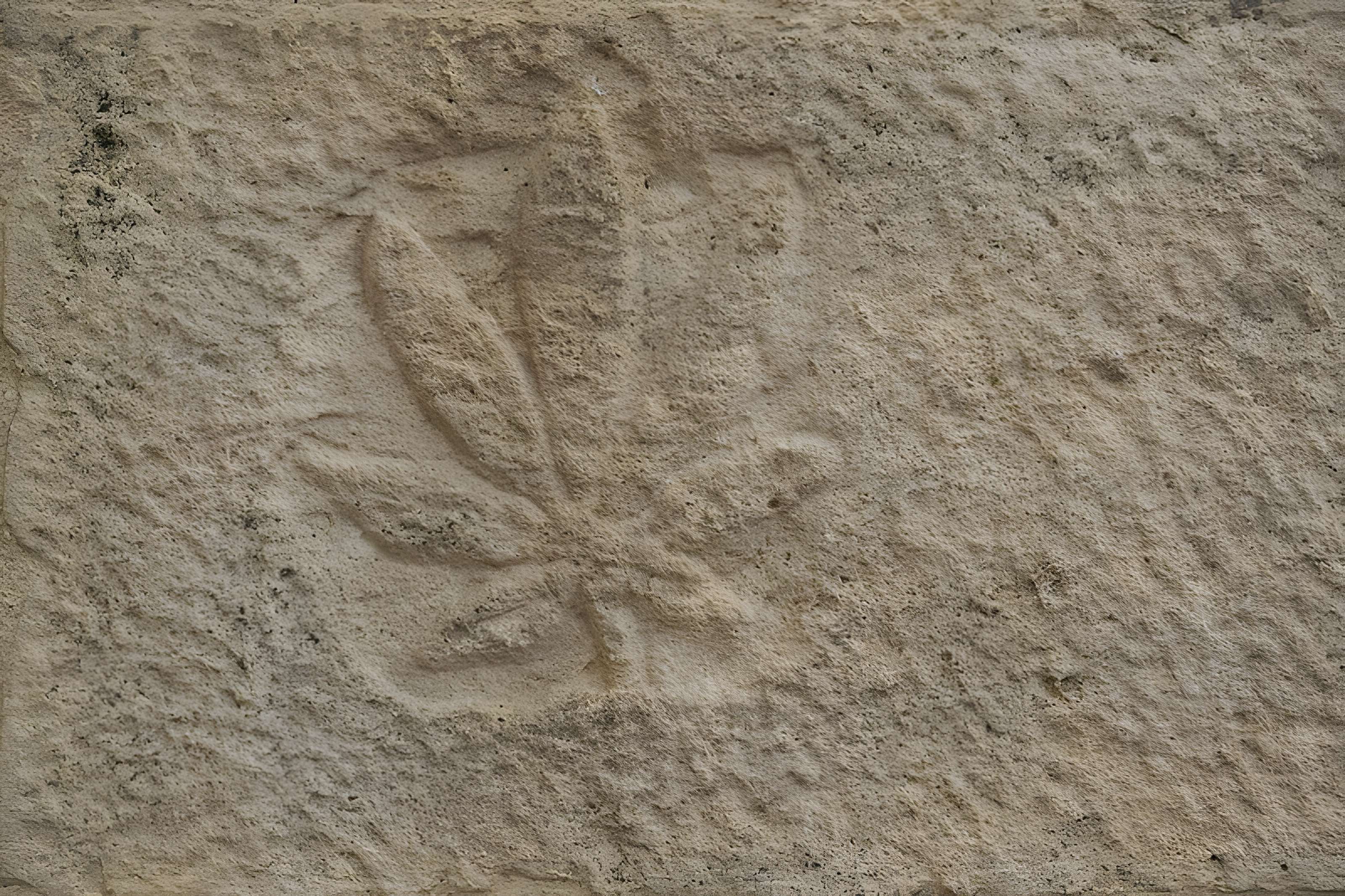 Église Saint-Vorles de Châtillon-sur-Seine