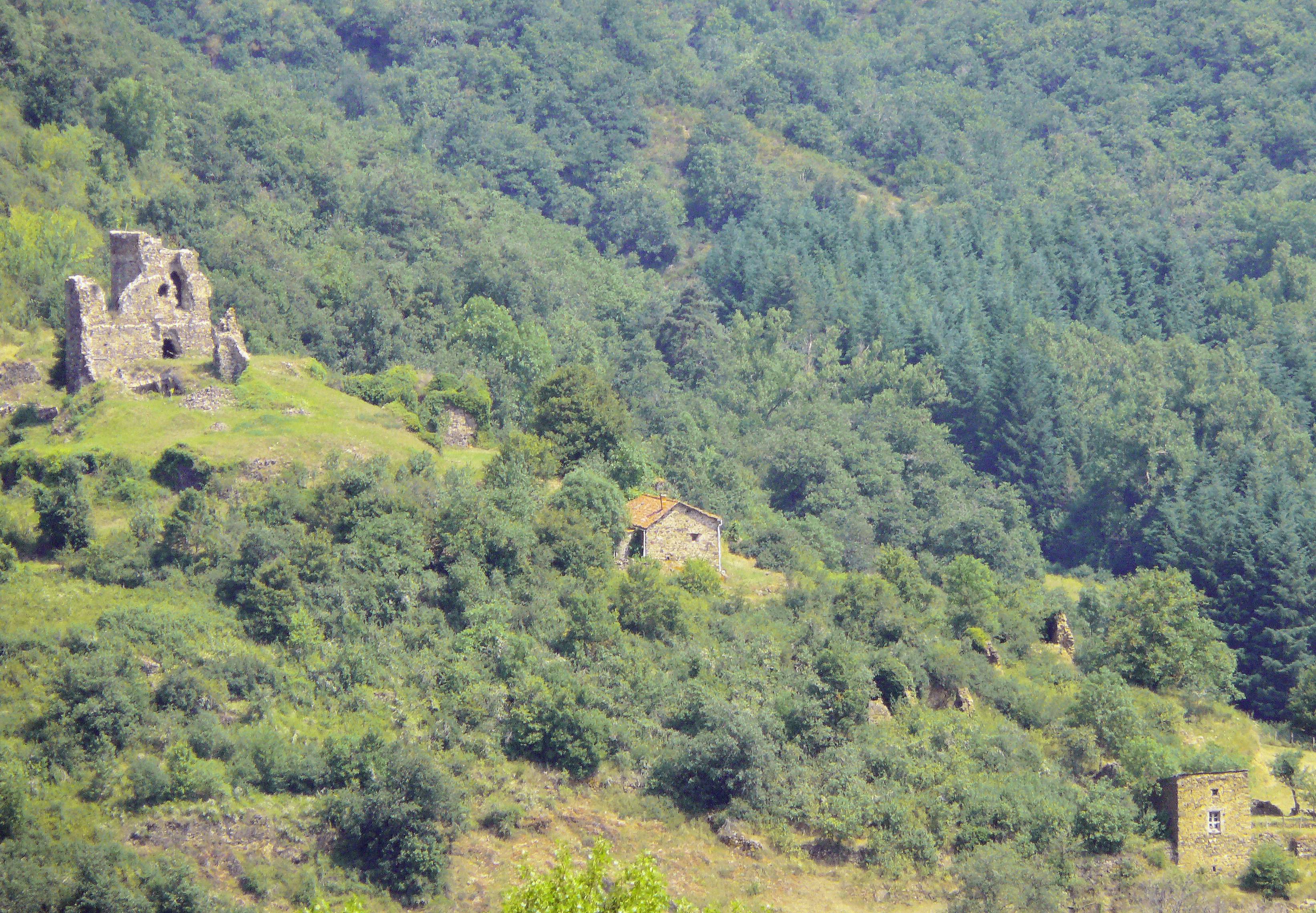 Photo de Château de Montgon