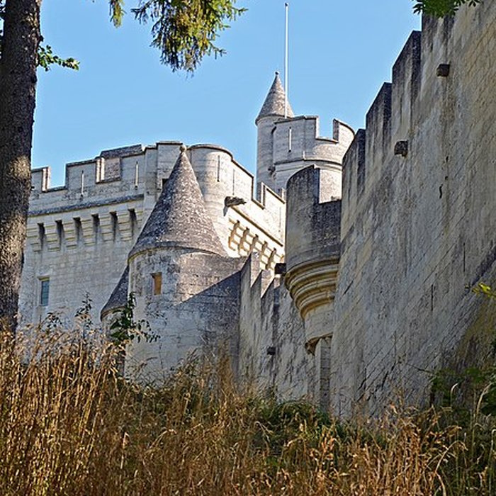 Photo de Château de Vez