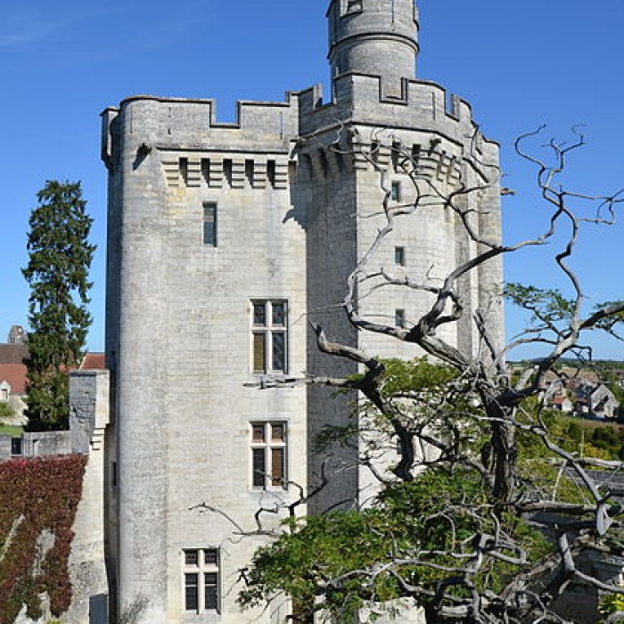 Photo de Château de Vez