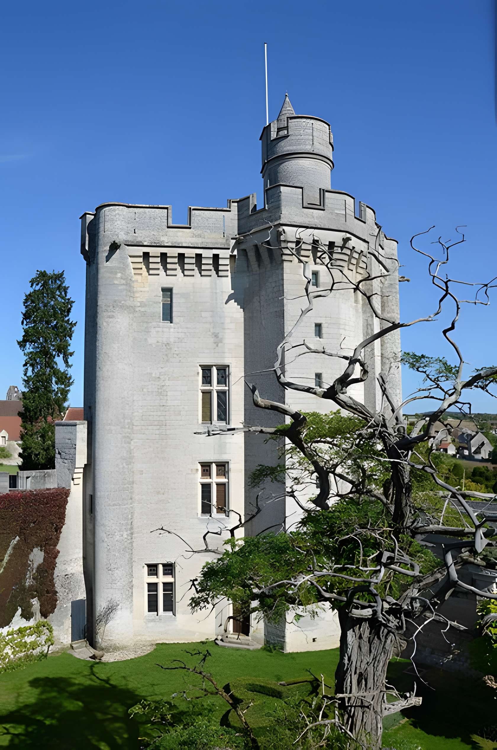 Château de Vez 