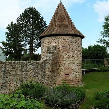 Enceinte 10 Route de Sélestat de Guémar