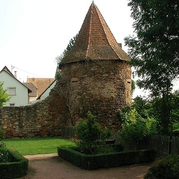 Enceinte 10 Route de Sélestat de Guémar