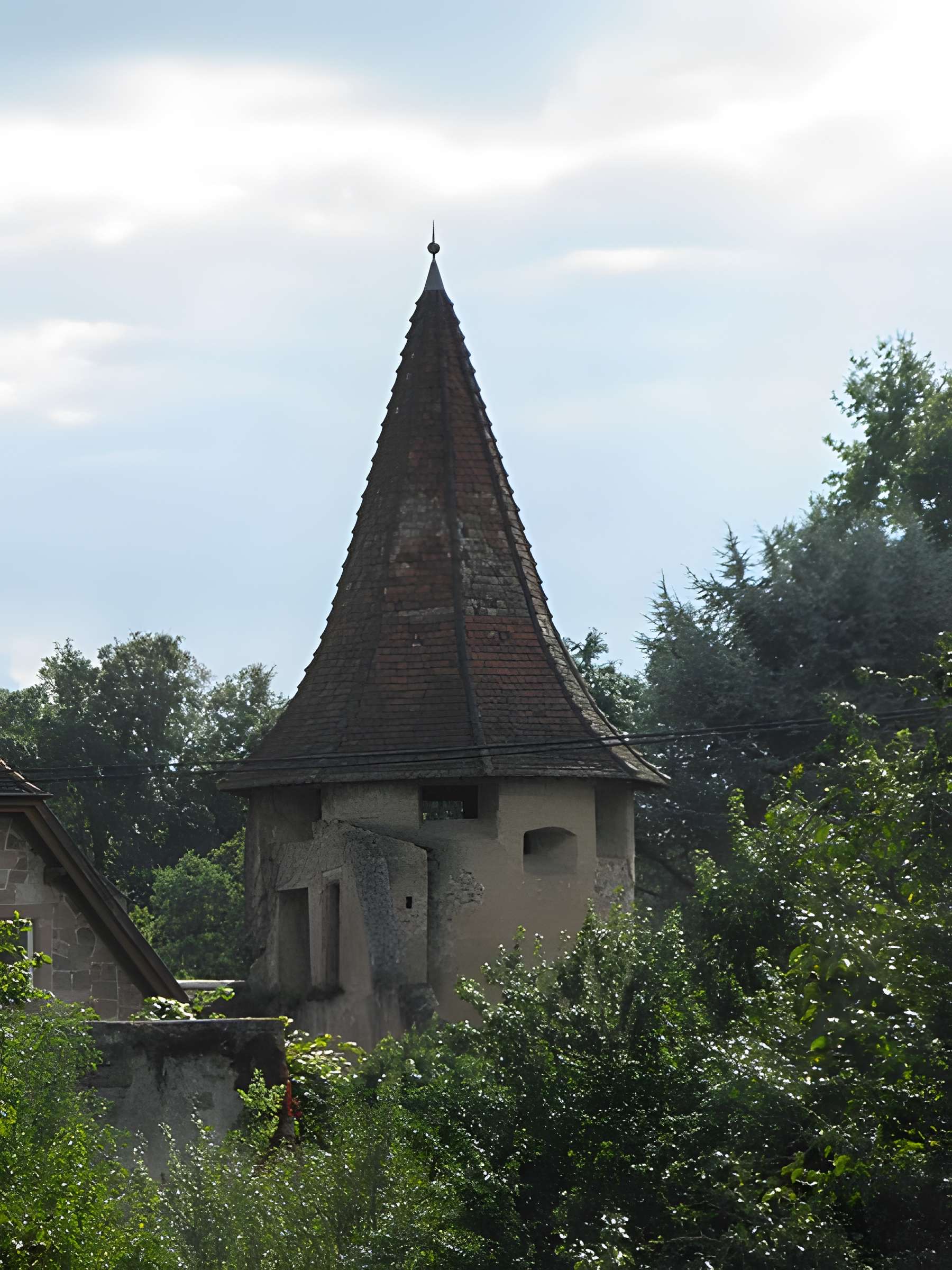Enceinte 10 Route de Sélestat de Guémar
