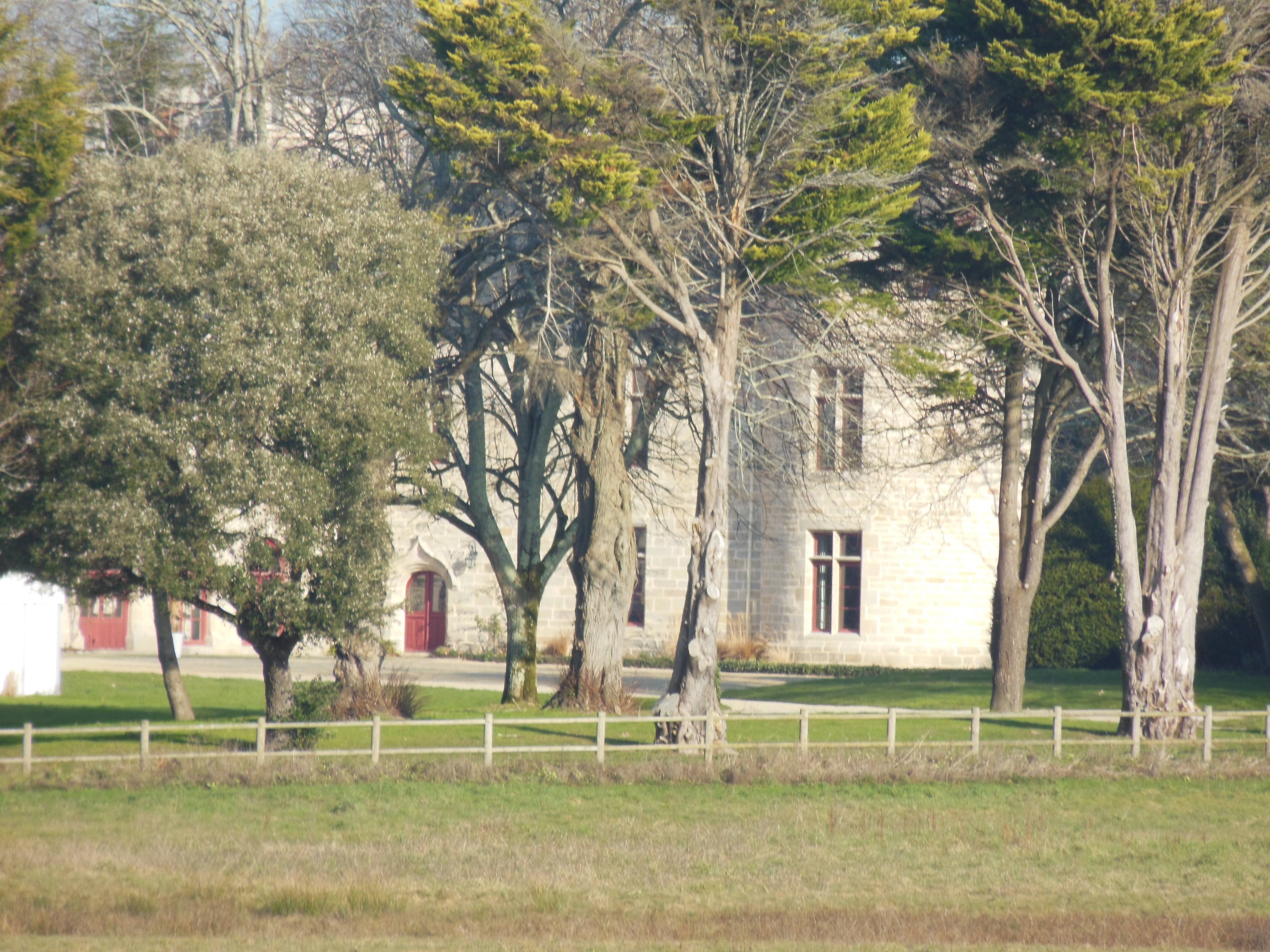 Photo de Château de Lauvergnac
