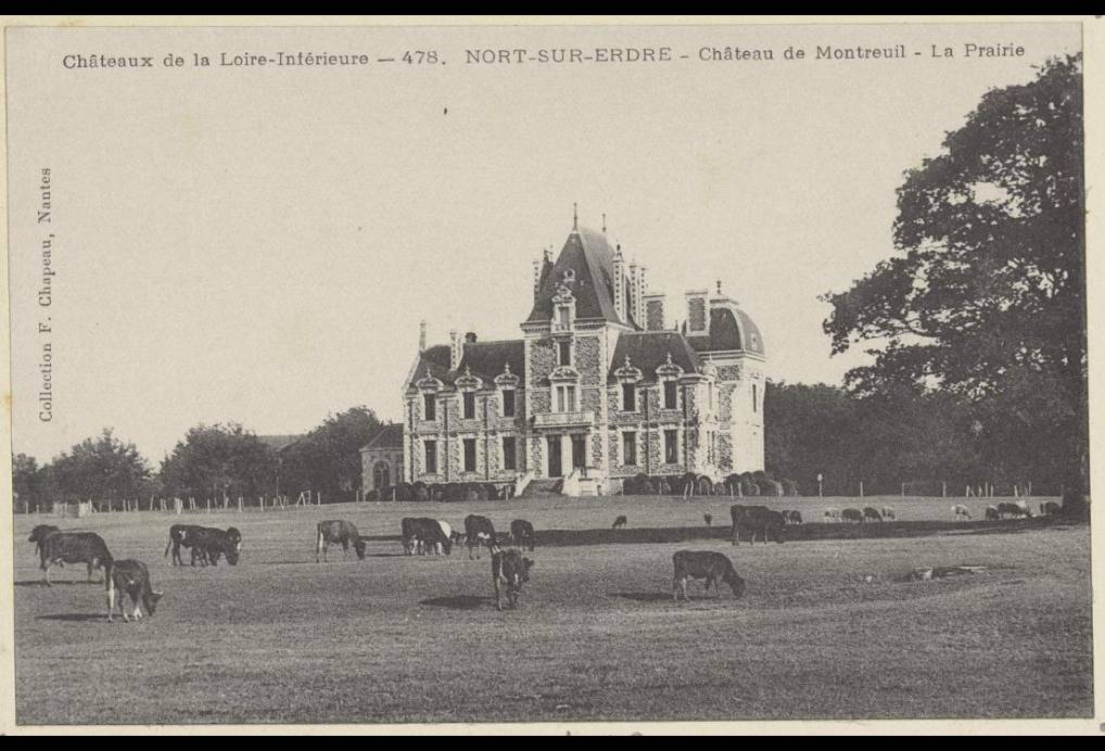 Photo de Château de Montreuil