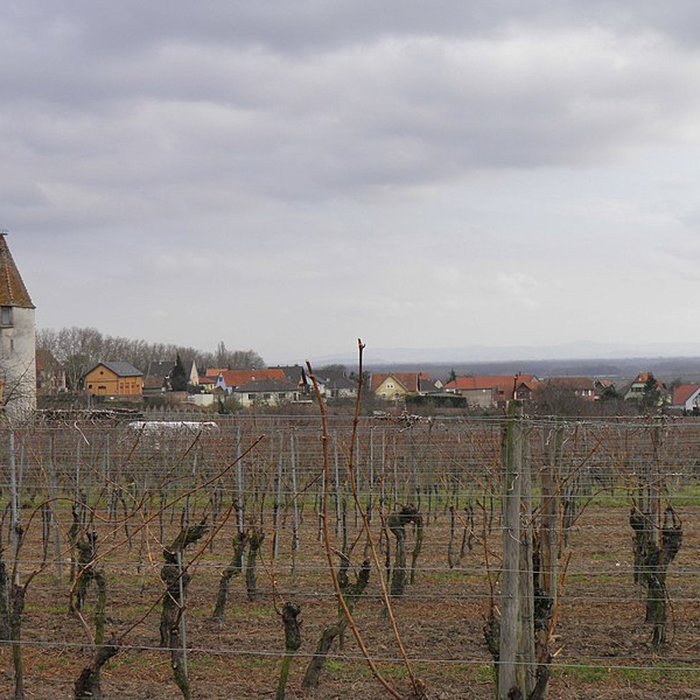 Photo de Enceinte de Saint-Hippolyte