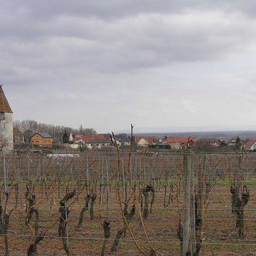 Enceinte de Saint-Hippolyte