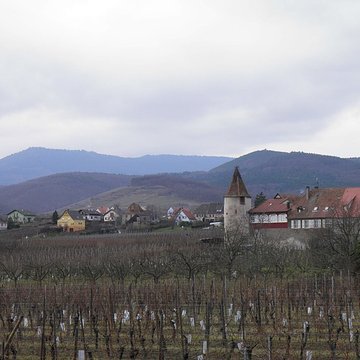 Enceinte de Saint-Hippolyte