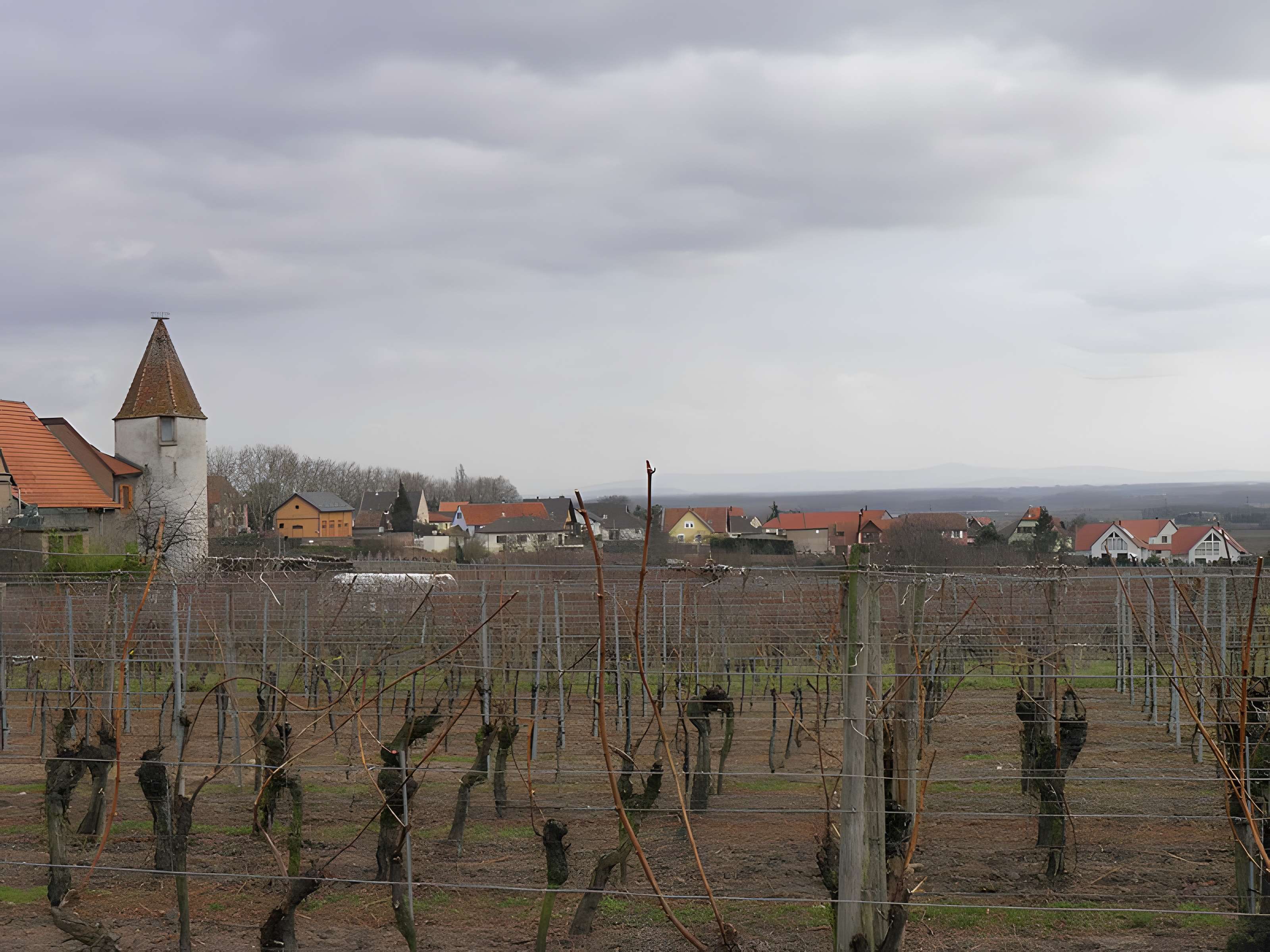 Enceinte de Saint-Hippolyte