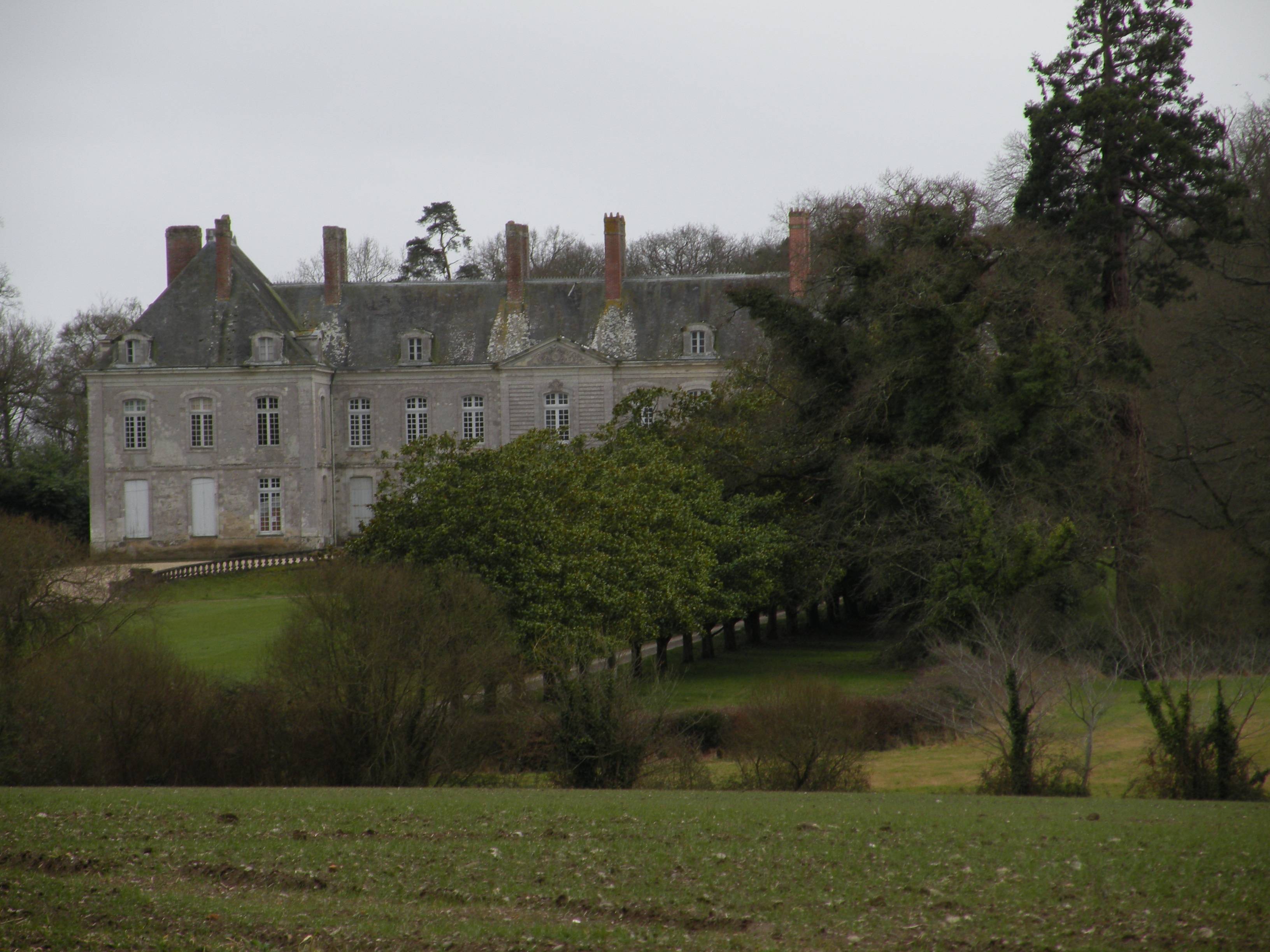 Photo de Château du Plessis