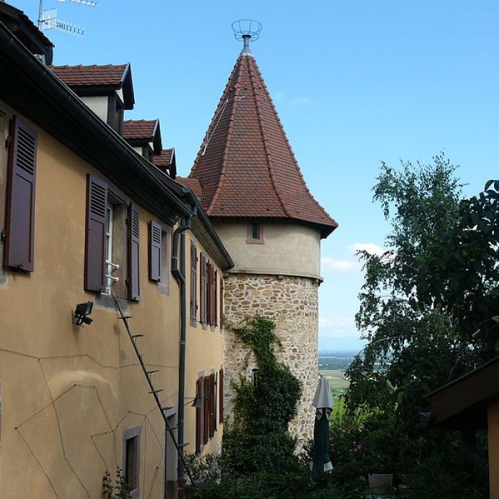 Photo de Enceinte fortifiée de Zellenberg