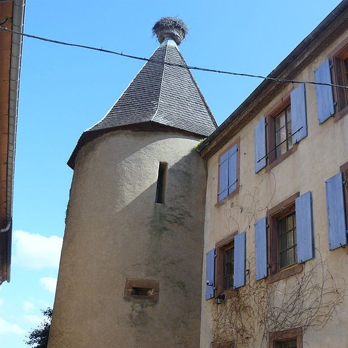 Photo de Enceinte fortifiée de Zellenberg