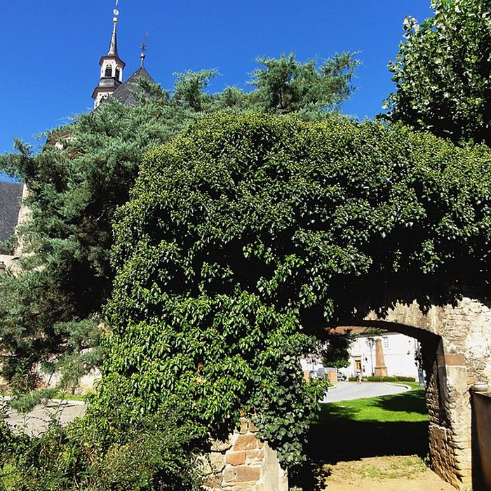 Photo de Enceinte médiévale de Molsheim