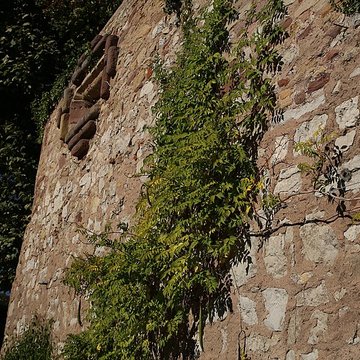 Enceinte médiévale de Molsheim