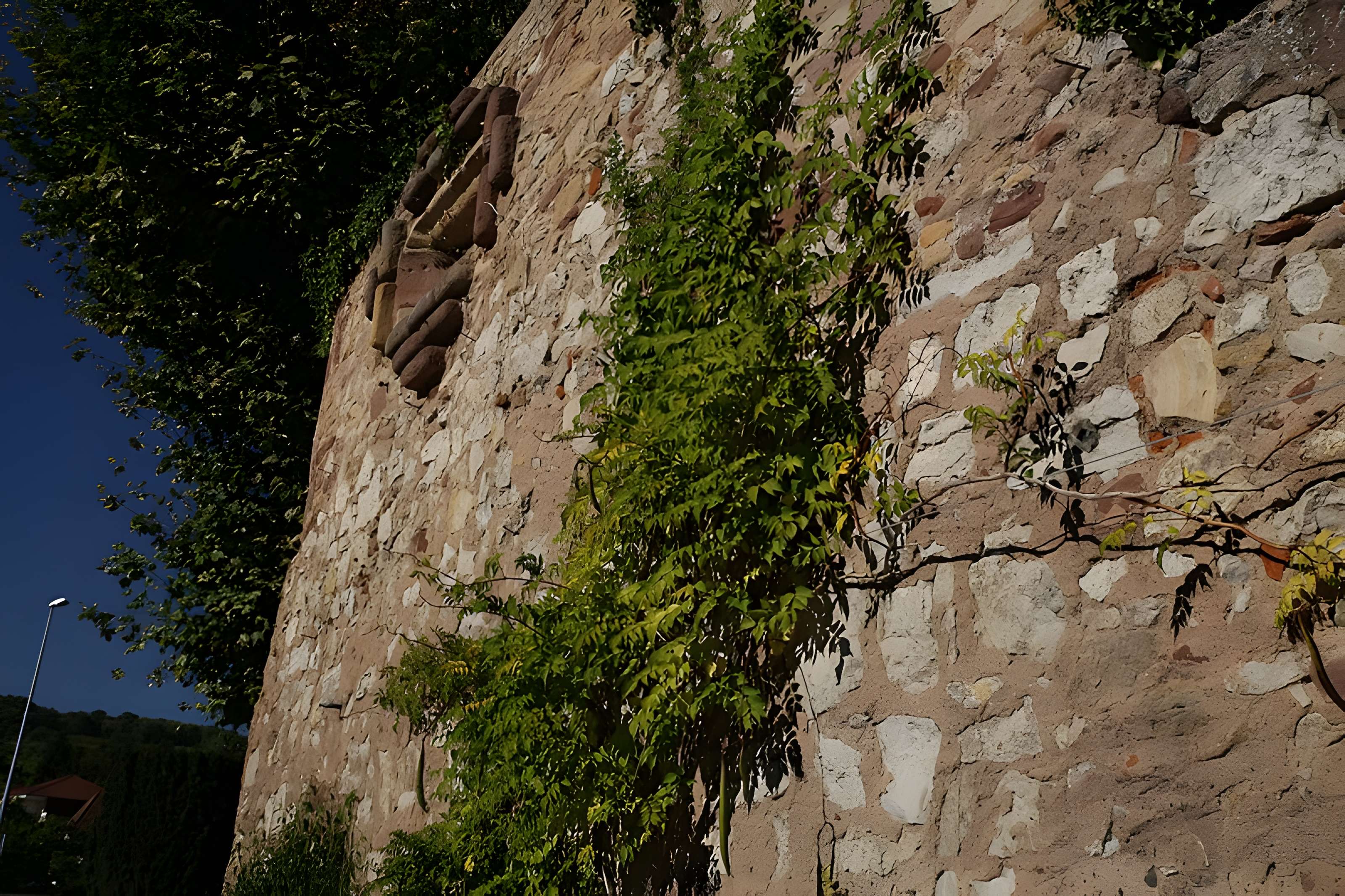 Enceinte médiévale de Molsheim