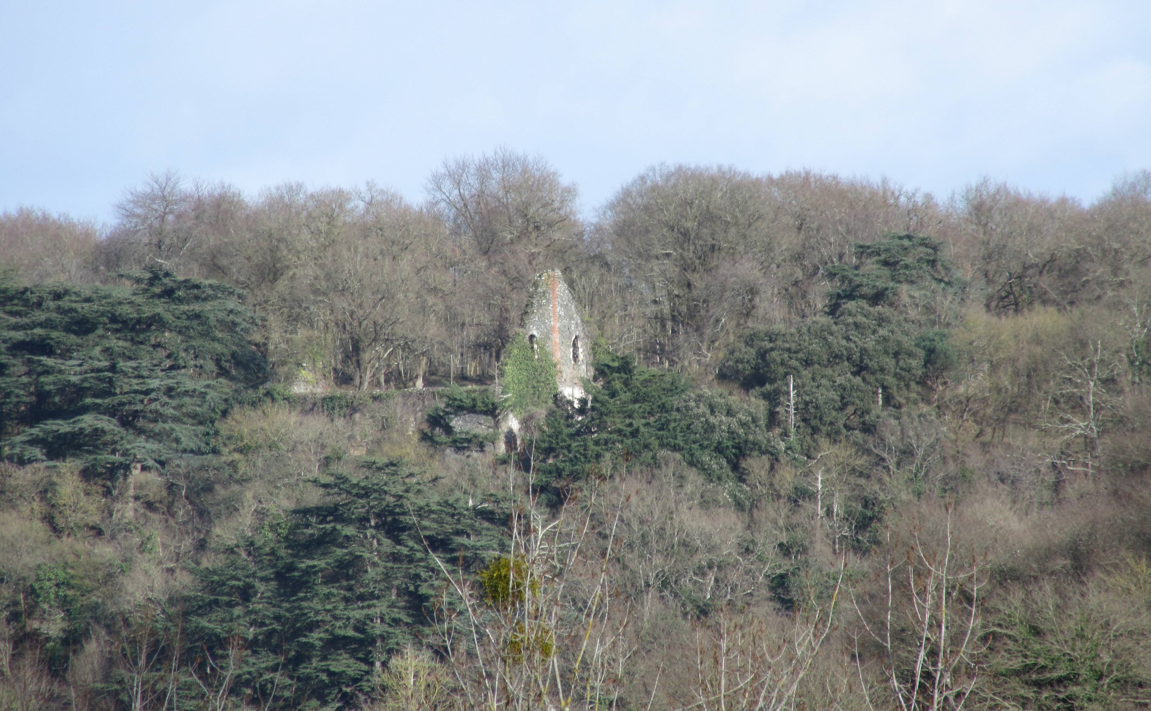 Photo de Château de Vieille Cour