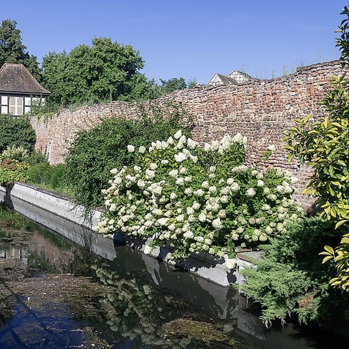 Photo de Enceintes médiévales de Colmar