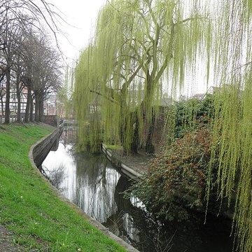 Enceintes médiévales de Colmar