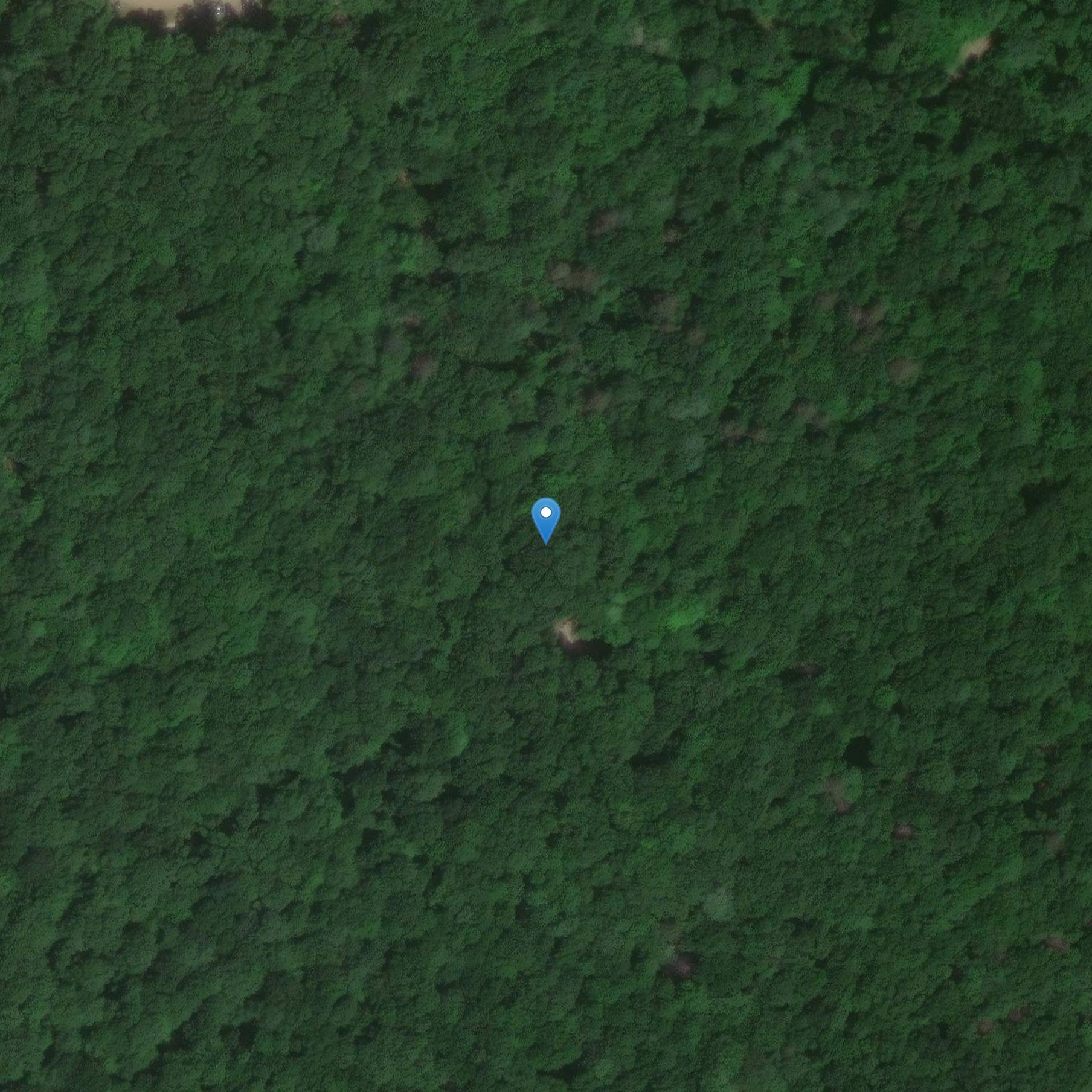 Photo de 浮雕城堡