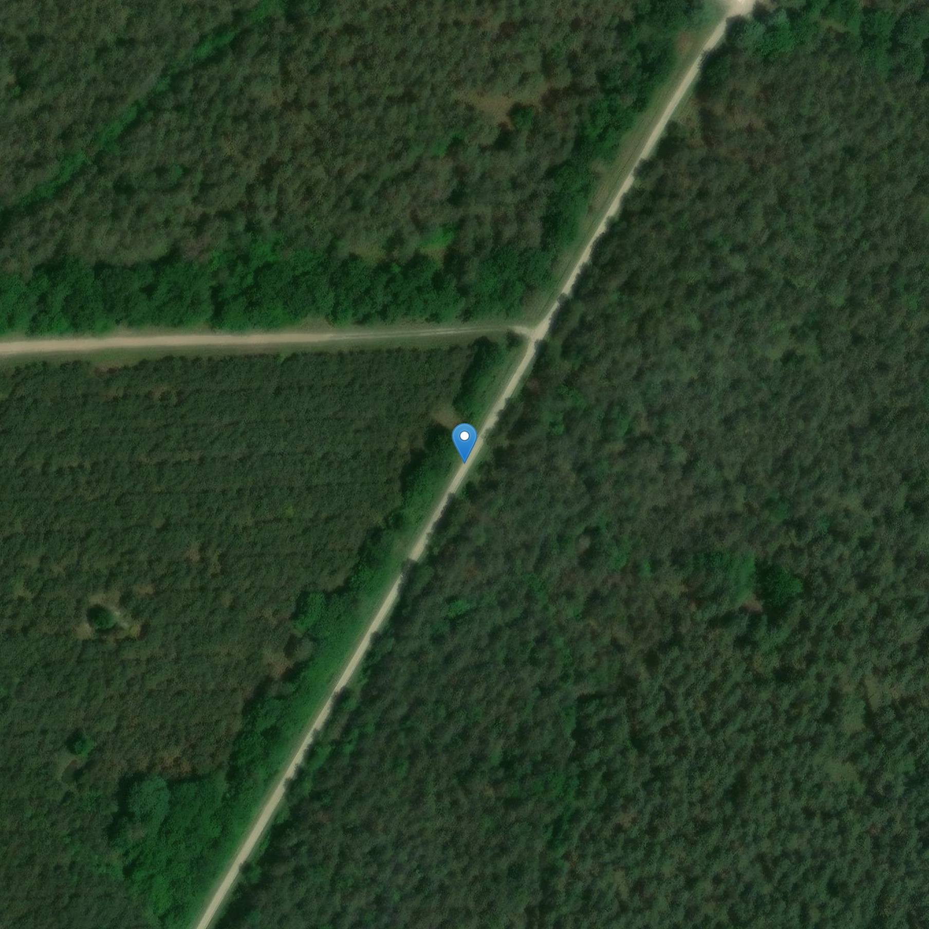 Photo de Castello di Jarnonde