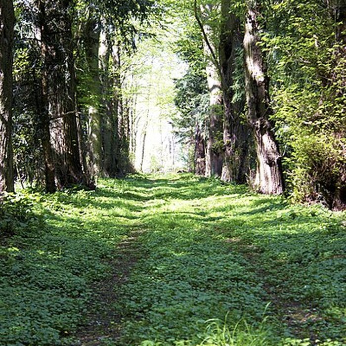 Photo de Château de Vigny