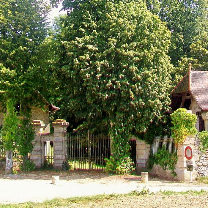 Photo de Château de Vigny