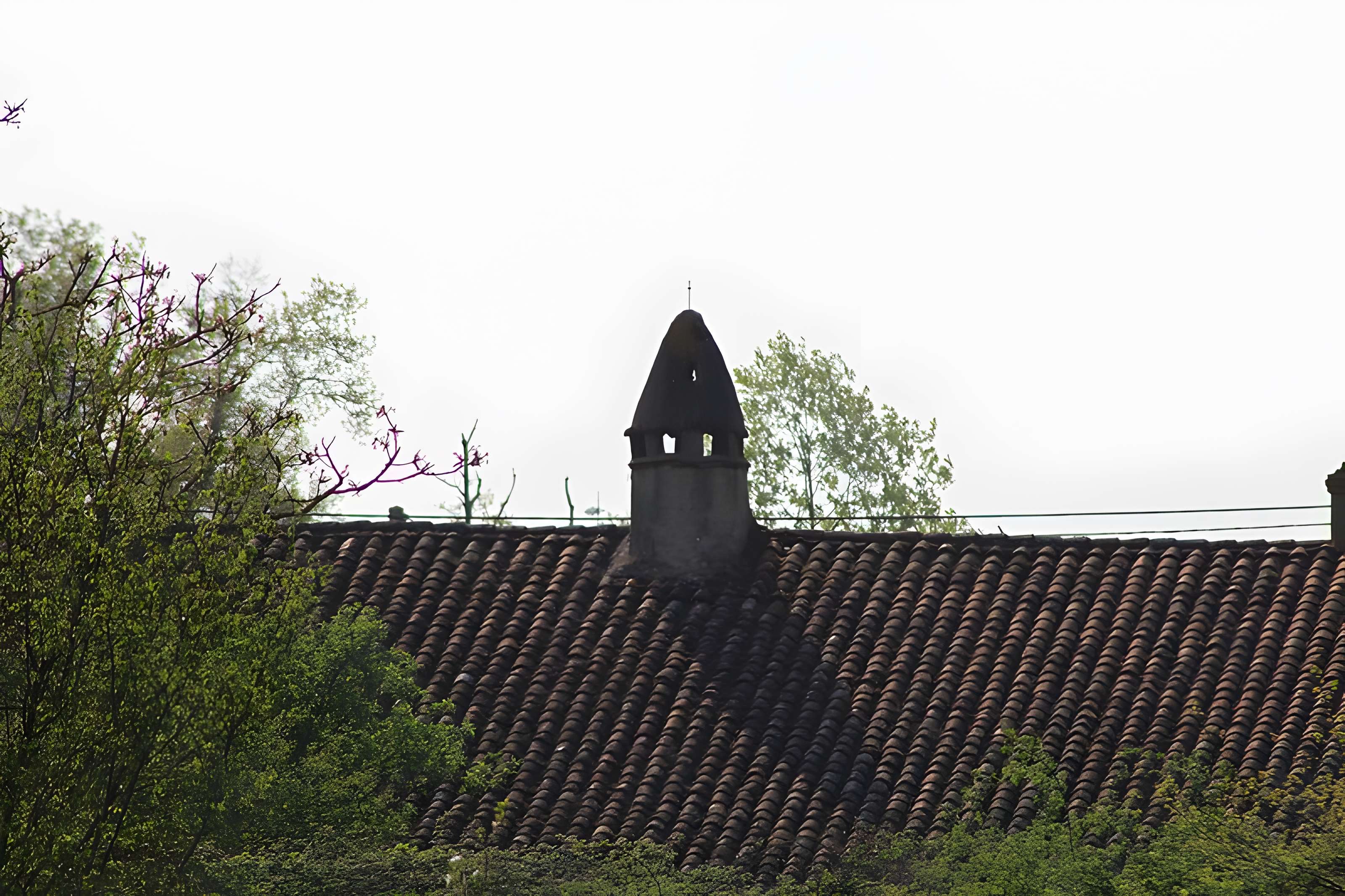 Ferme Coulas de Reyssouze