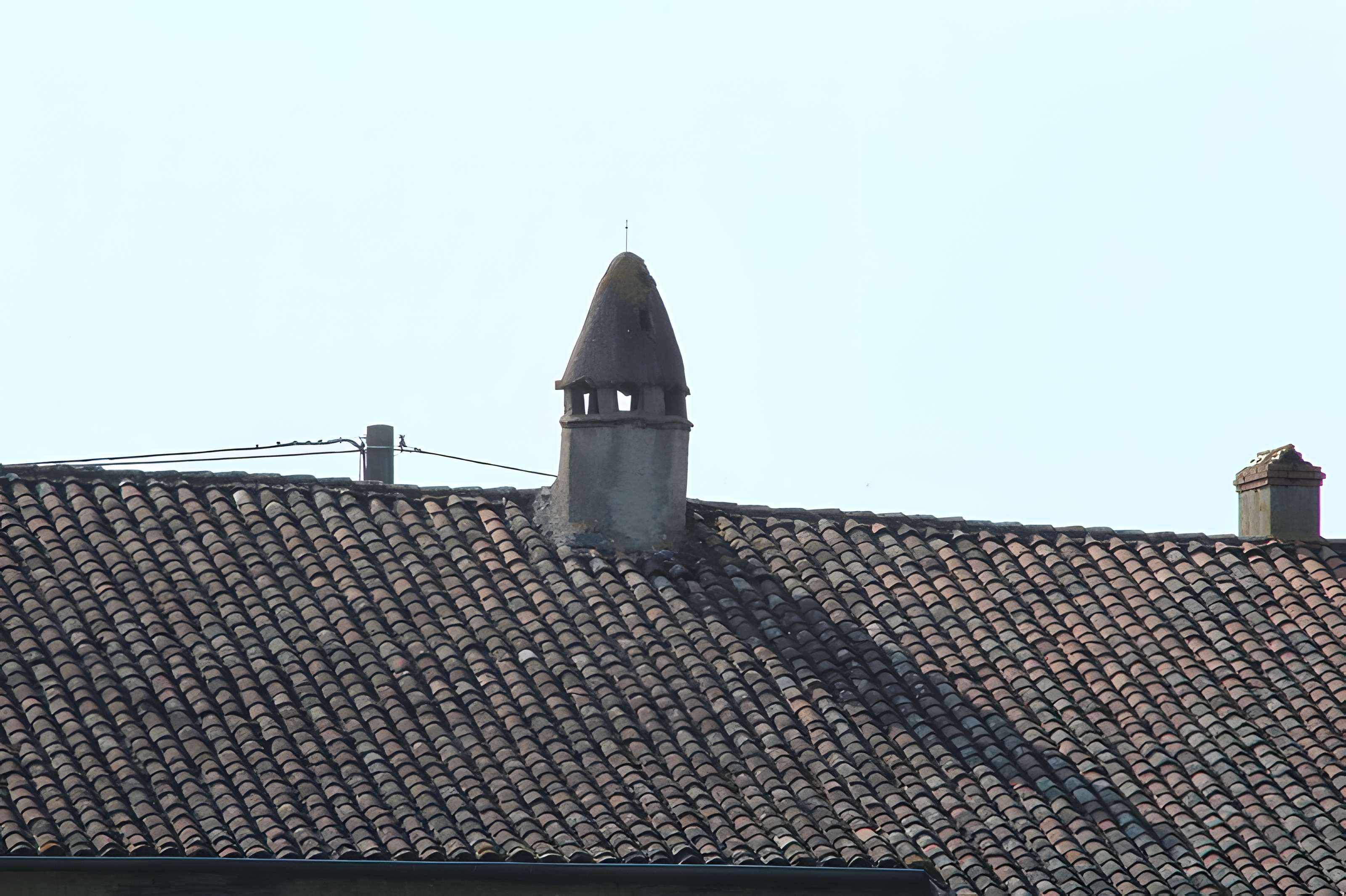 Ferme Coulas de Reyssouze