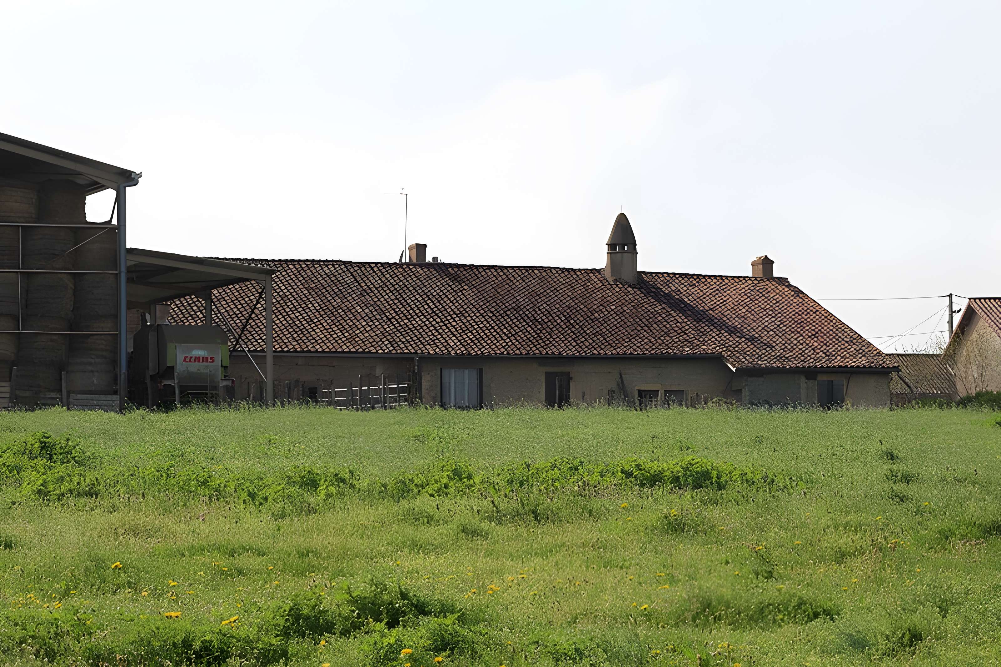 Ferme Coulas de Reyssouze