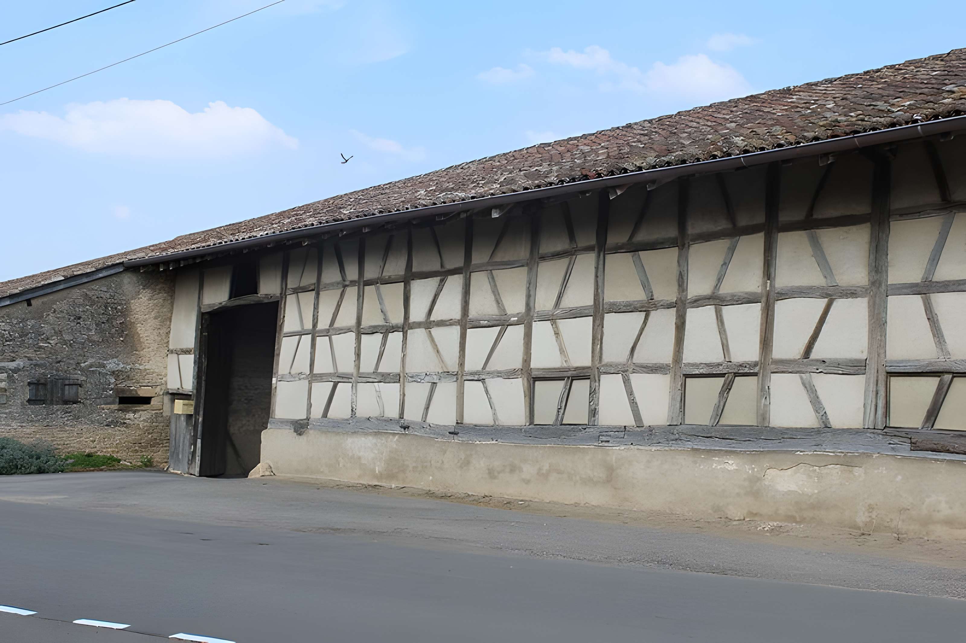 Ferme Coulas de Reyssouze