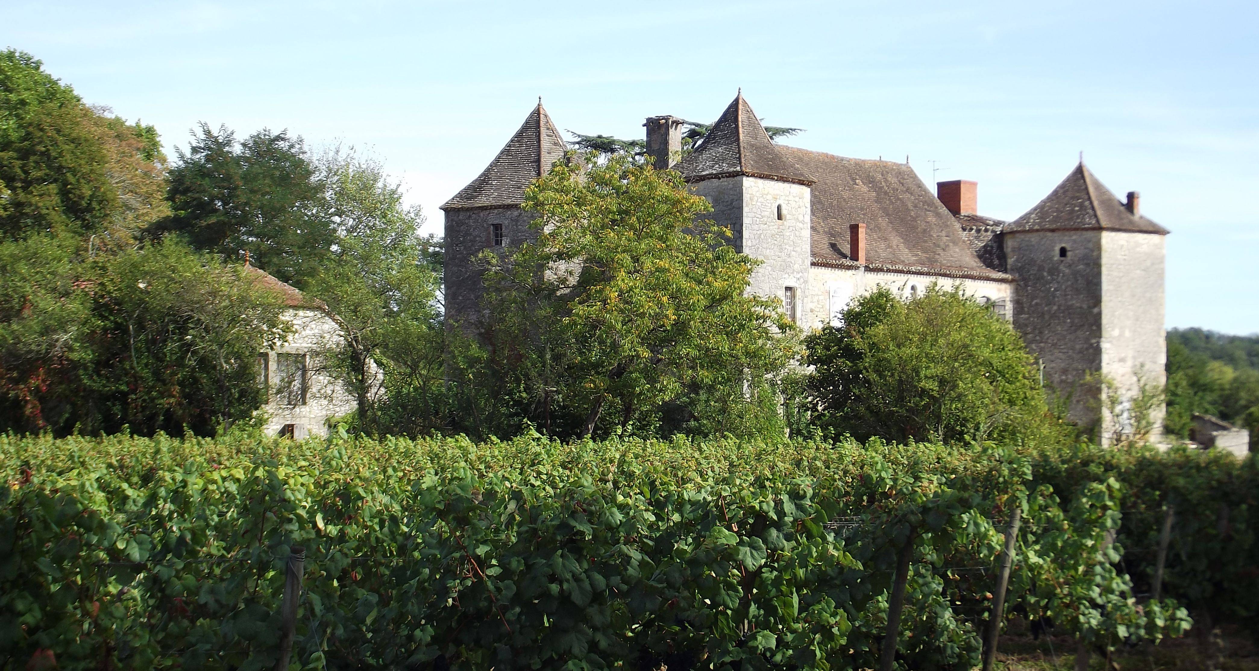 Photo de バーの城