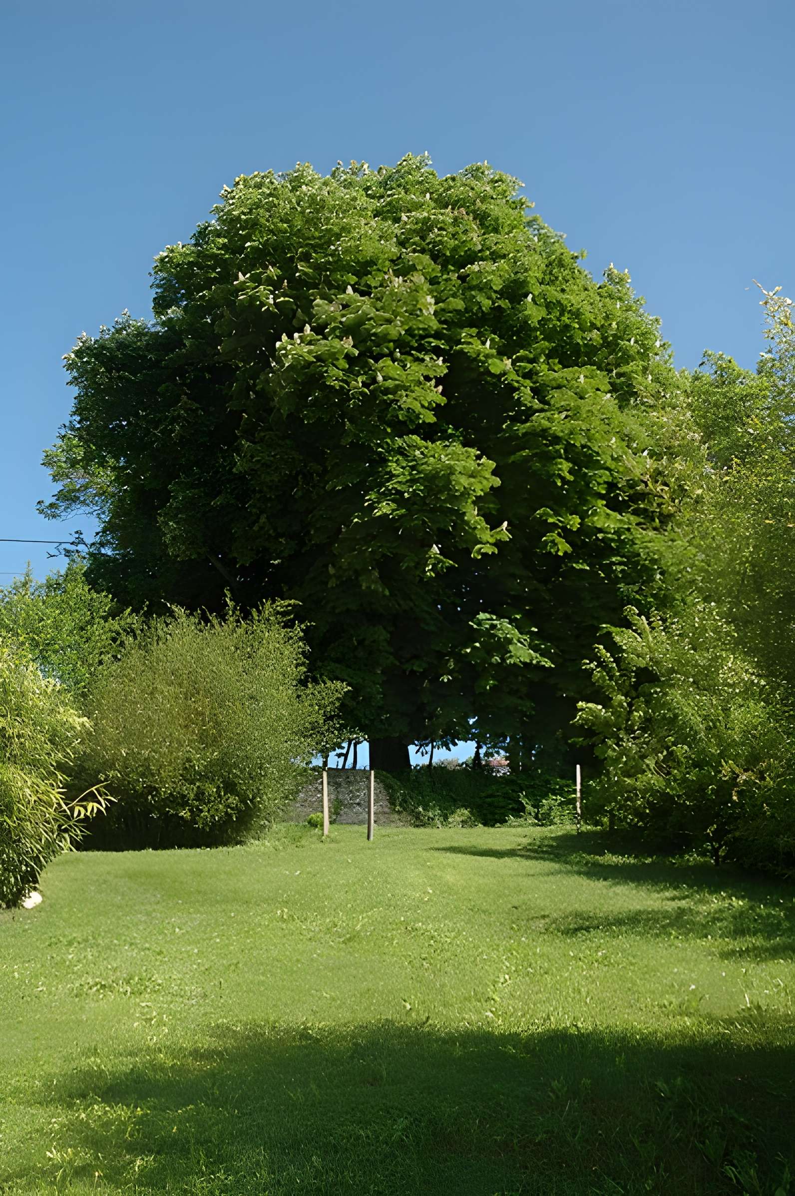 Ferme de Bel-Air à Frangy