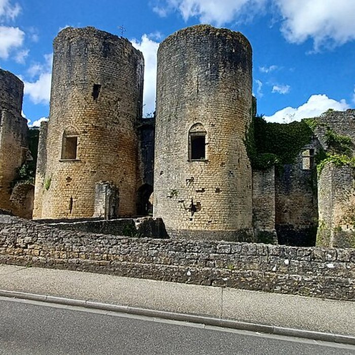 Photo de Château de Villandraut