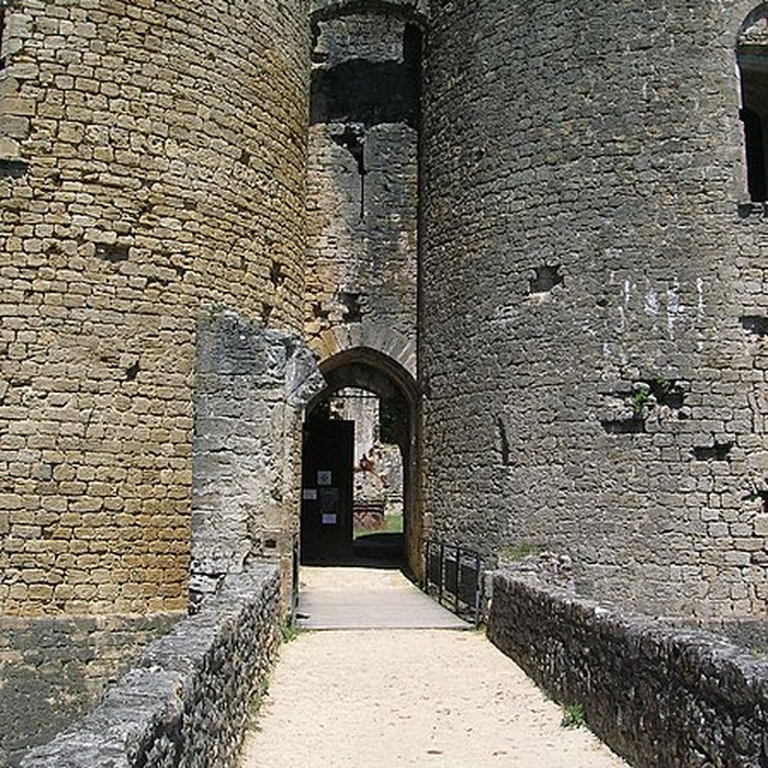 Photo de Château de Villandraut