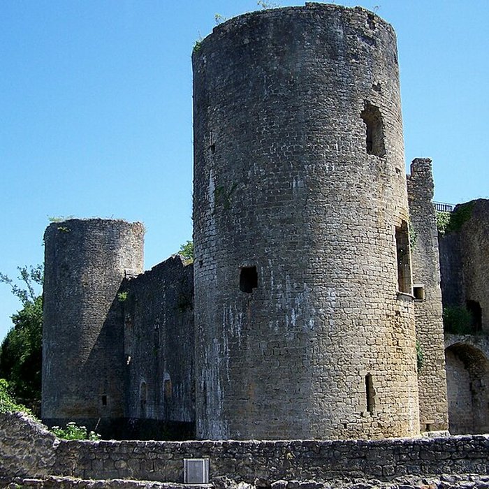 Photo de Château de Villandraut