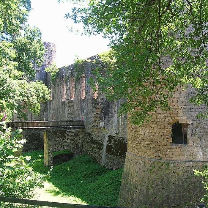 Photo de Château de Villandraut