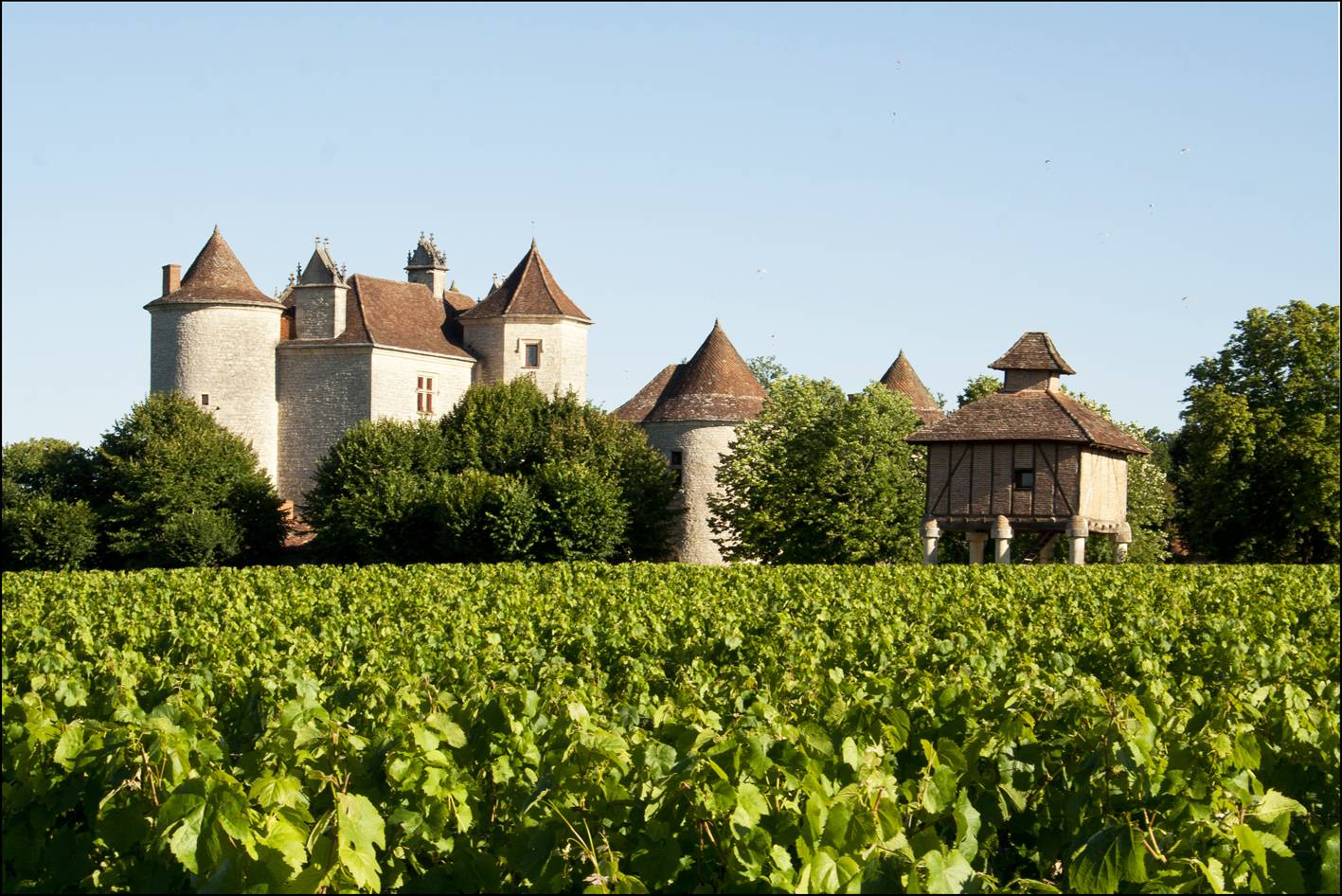 Photo de Château Lagrézette